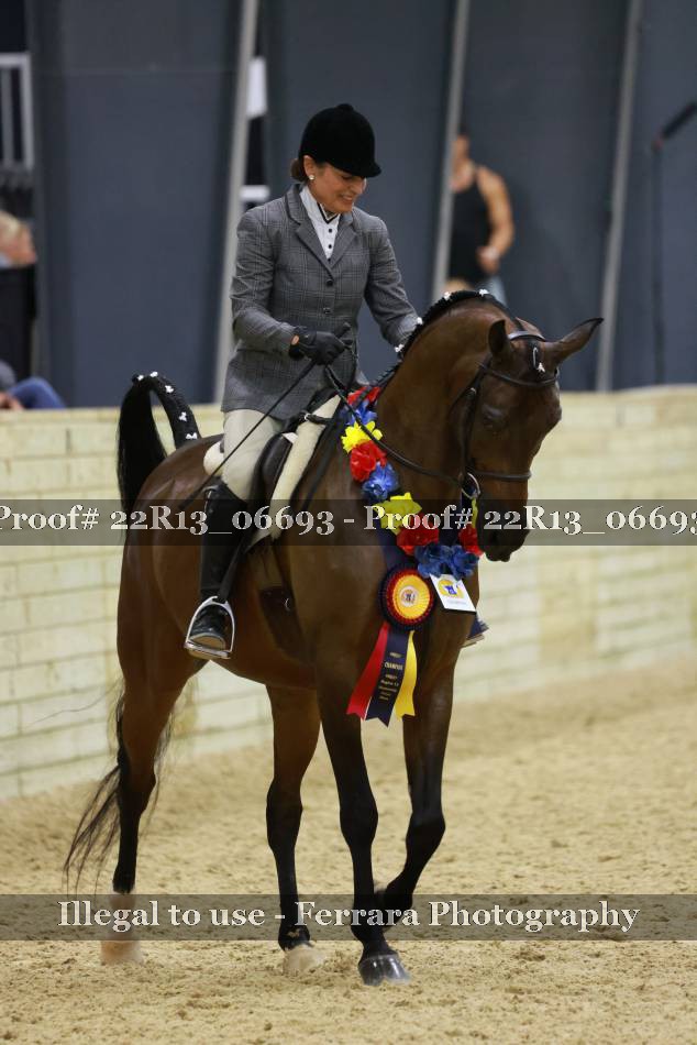 Proof 22R13_06693