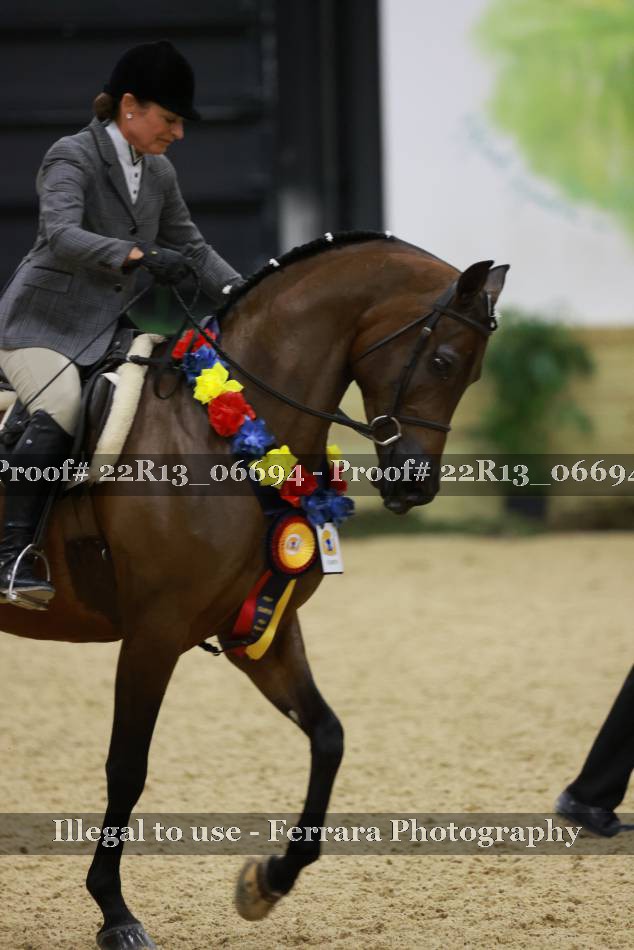 Proof 22R13_06694