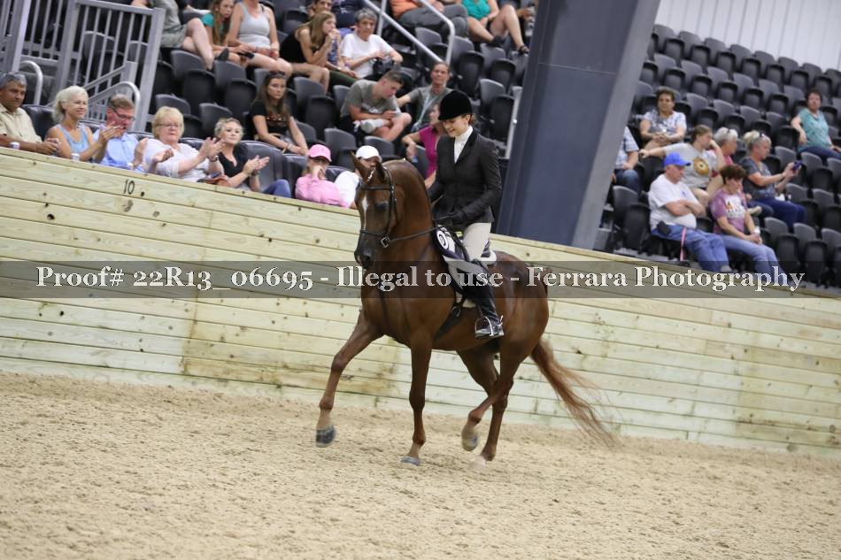 Proof 22R13_06695