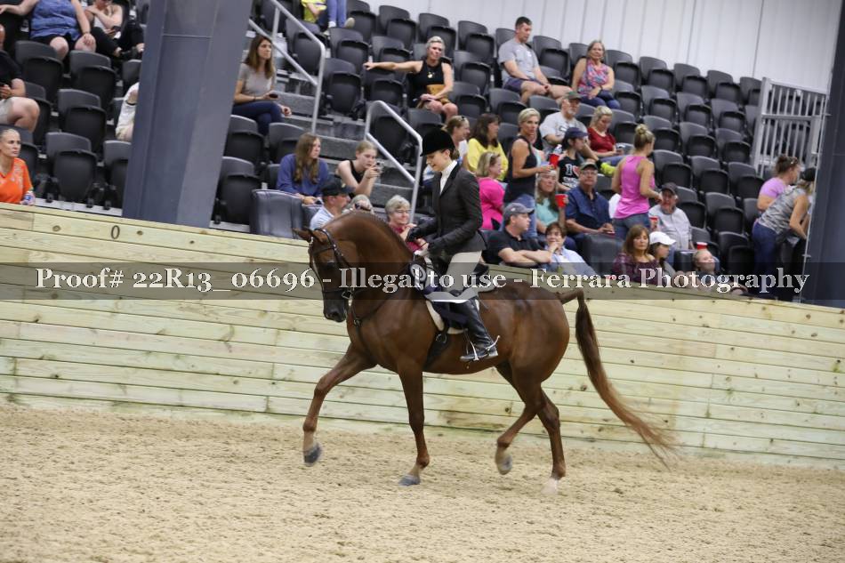Proof 22R13_06696