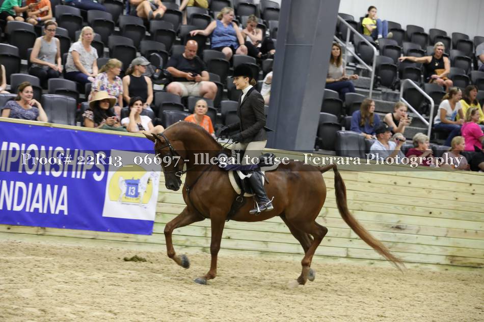 Proof 22R13_06697