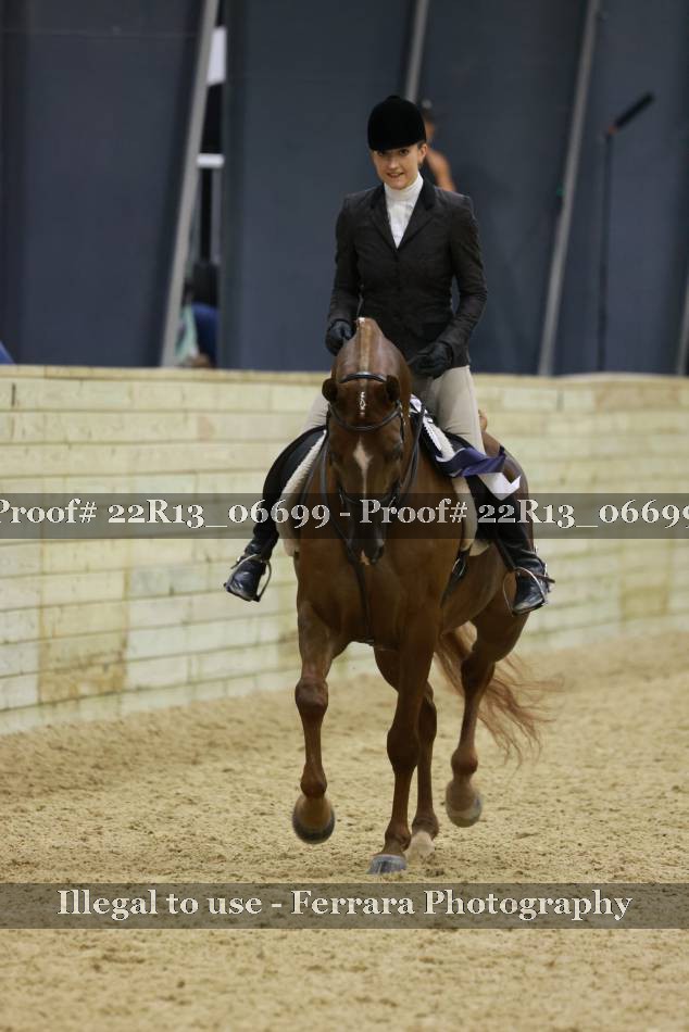 Proof 22R13_06699