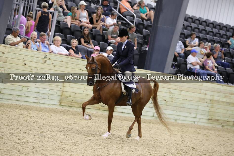 Proof 22R13_06700