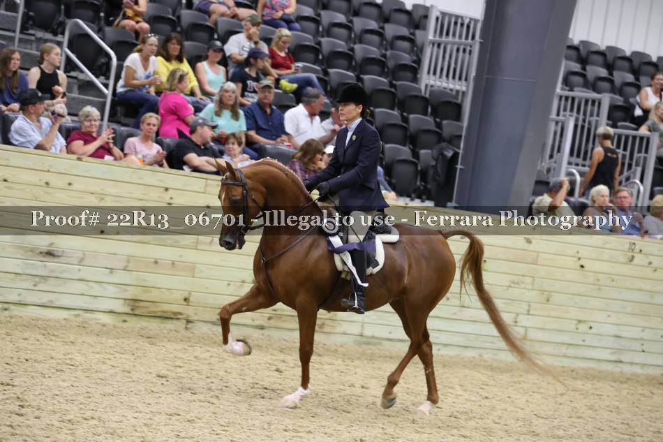 Proof 22R13_06701