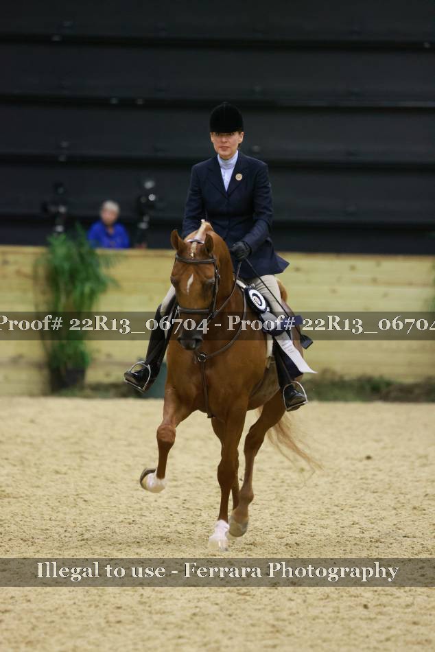 Proof 22R13_06704