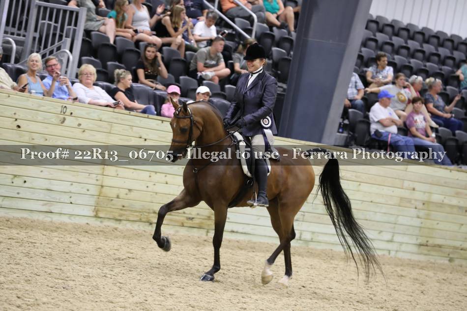 Proof 22R13_06705