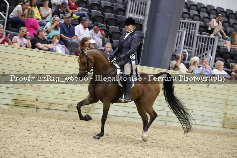 Proof 22R13_06706