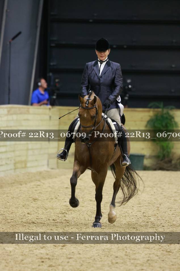Proof 22R13_06709