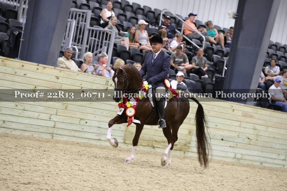 Proof 22R13_06711