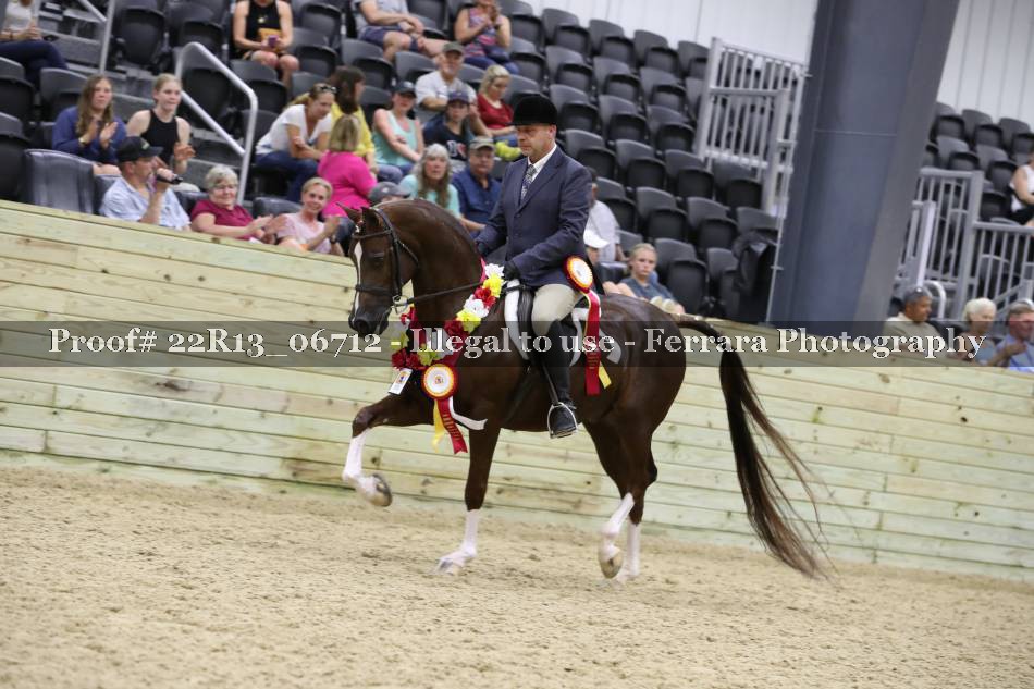 Proof 22R13_06712