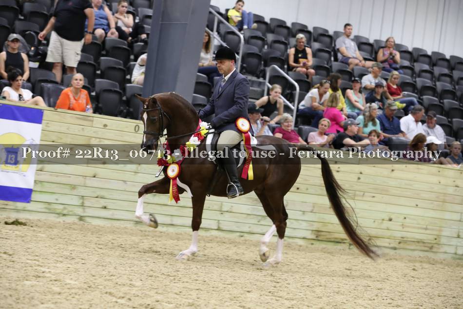 Proof 22R13_06713