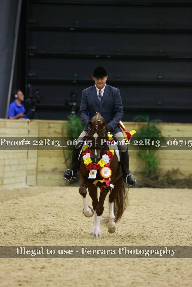 Proof 22R13_06715
