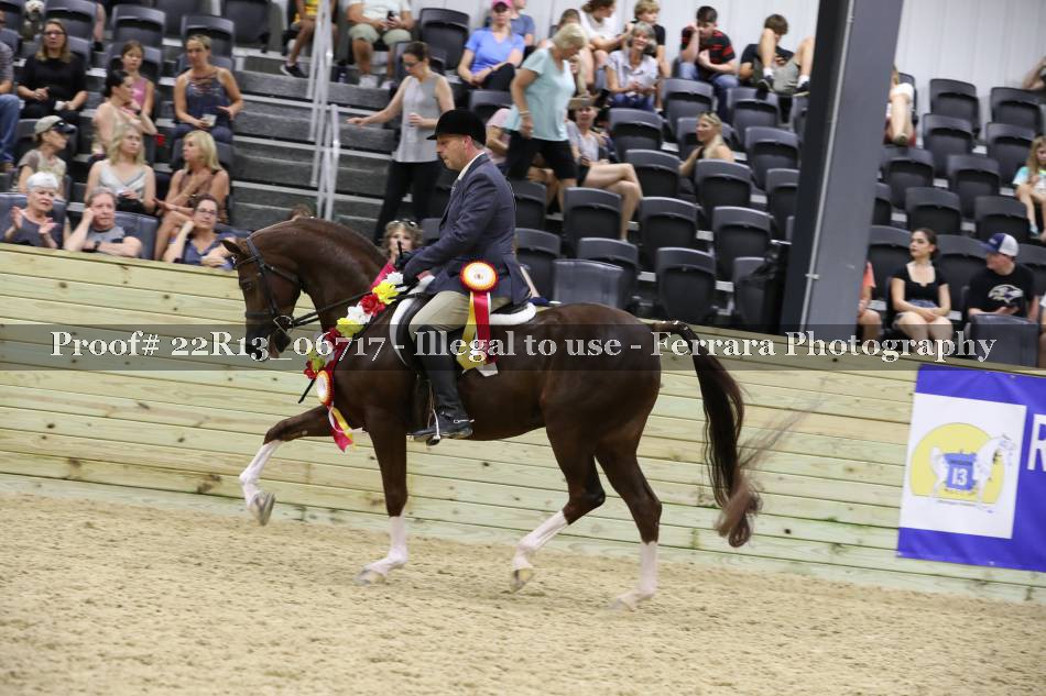 Proof 22R13_06717