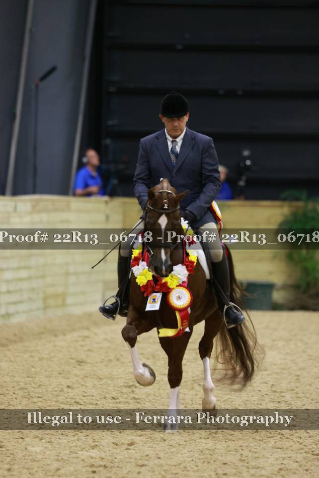 Proof 22R13_06718