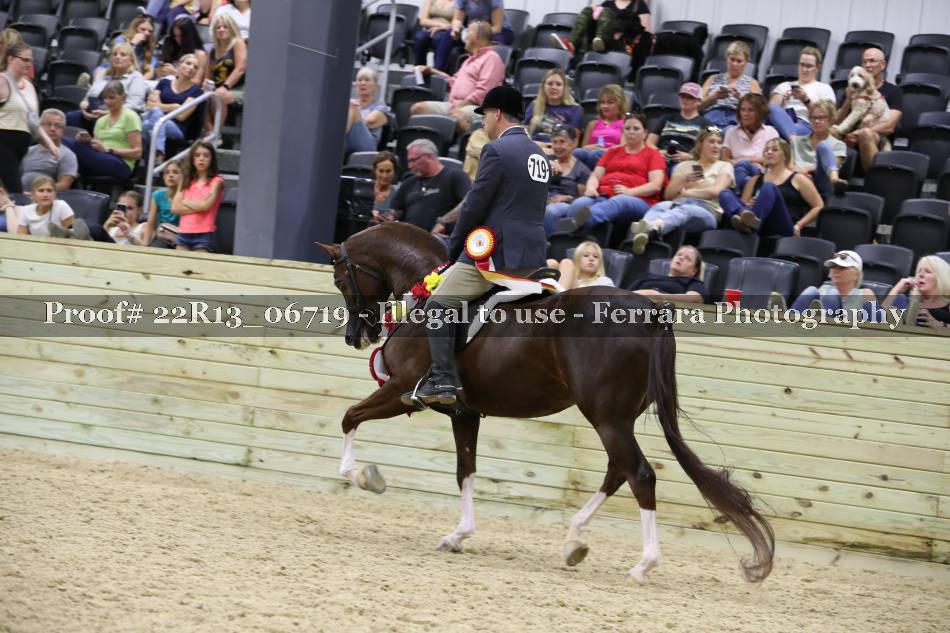 Proof 22R13_06719