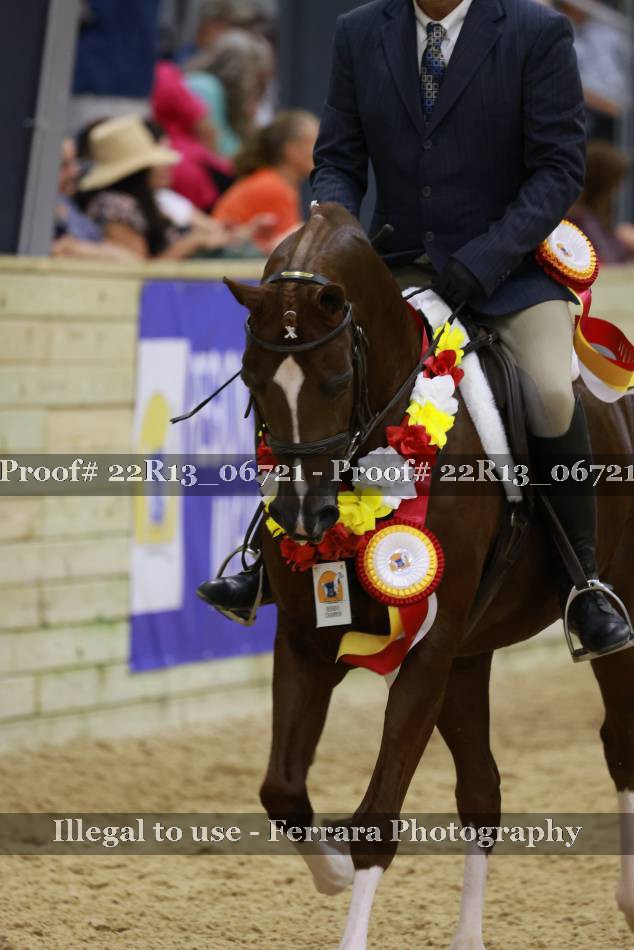 Proof 22R13_06721