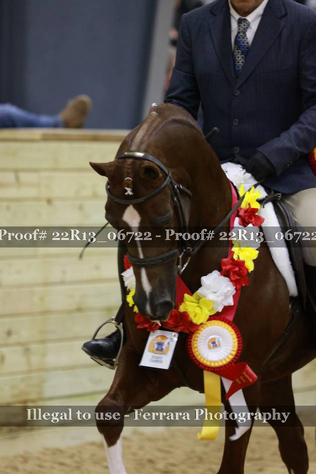Proof 22R13_06722