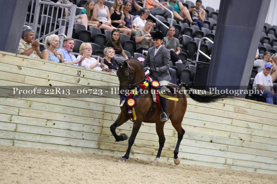 Proof 22R13_06723