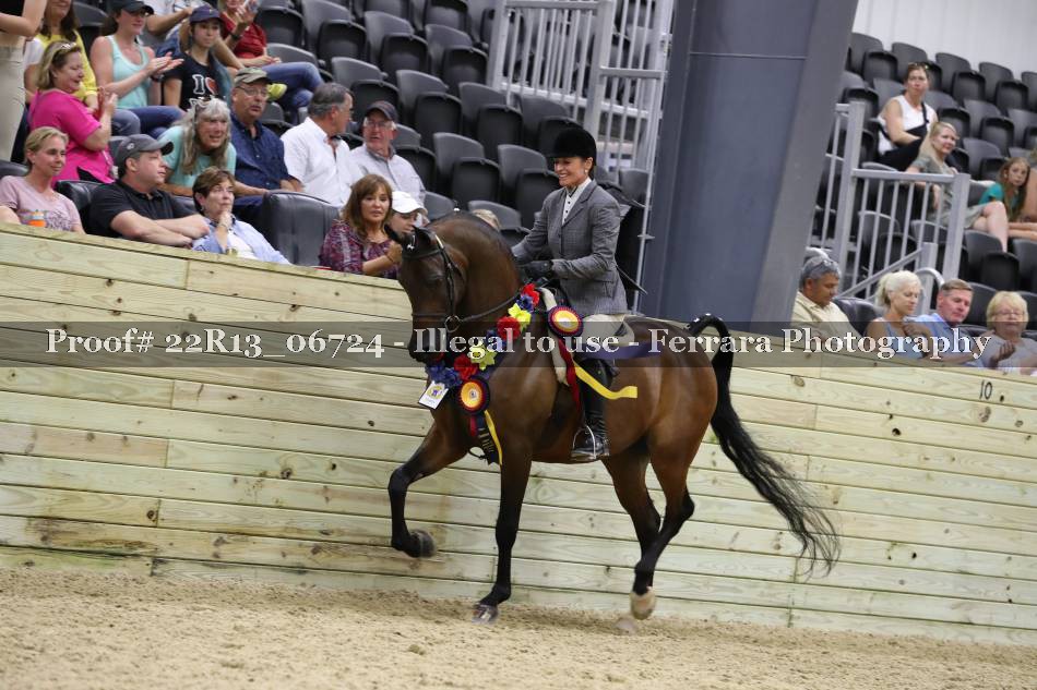 Proof 22R13_06724