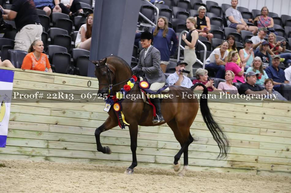 Proof 22R13_06725