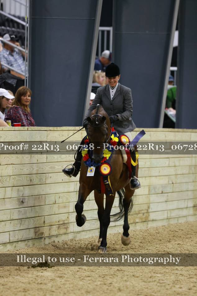 Proof 22R13_06728