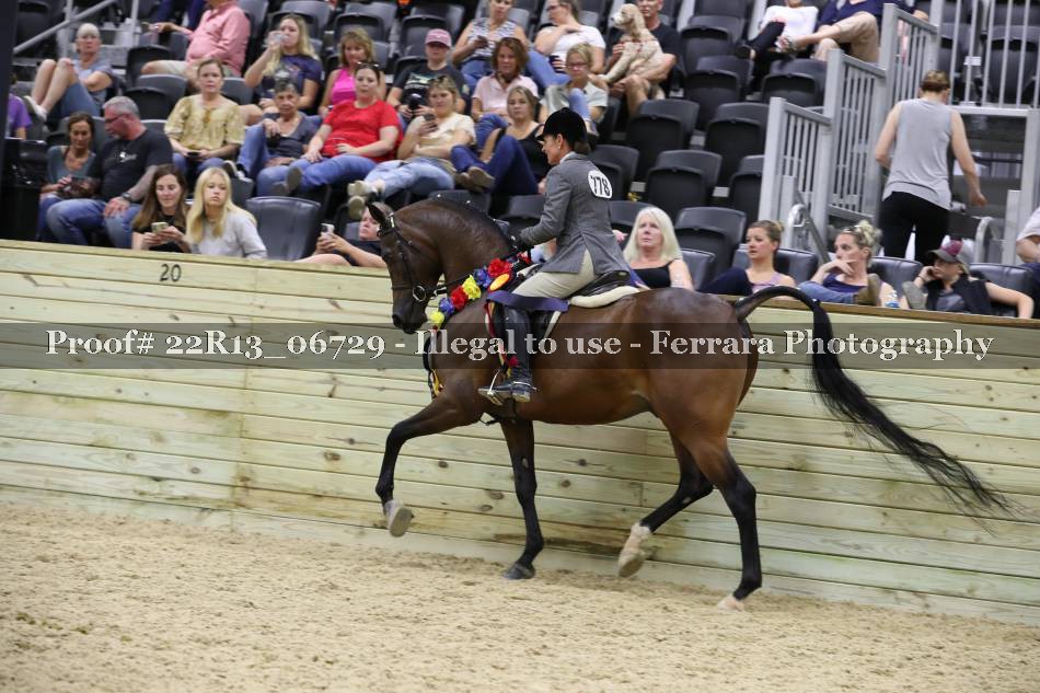 Proof 22R13_06729