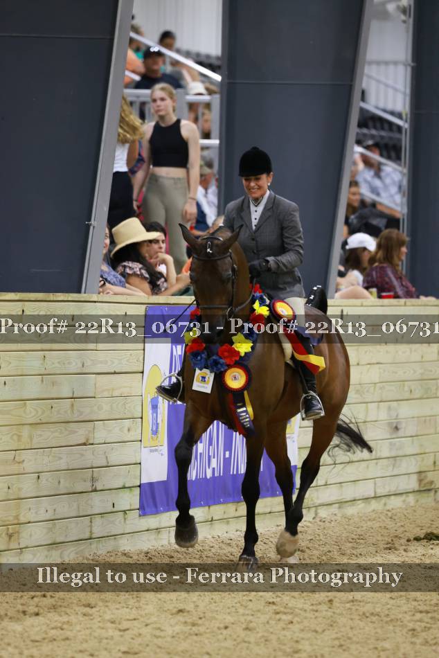 Proof 22R13_06731