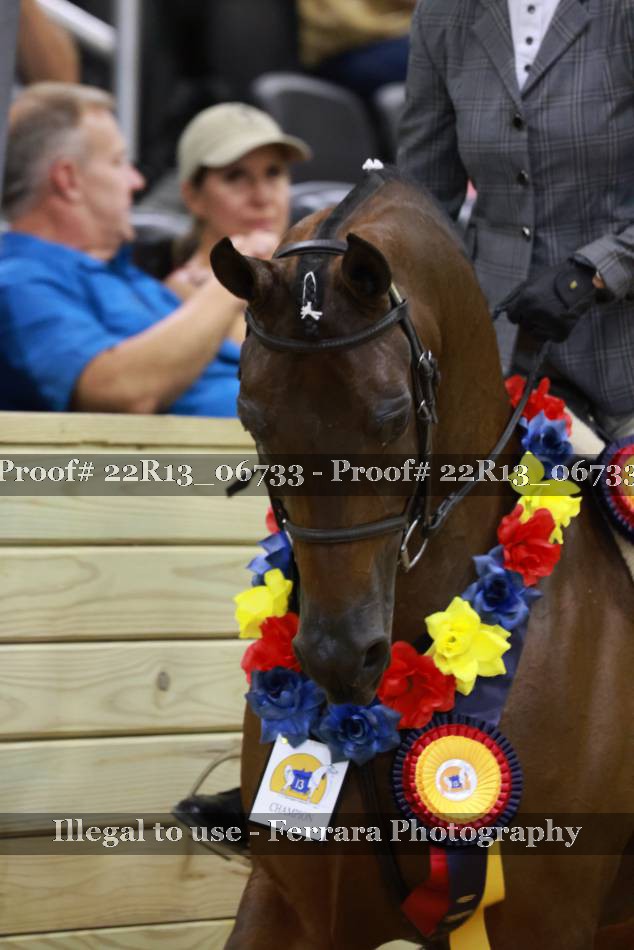 Proof 22R13_06733