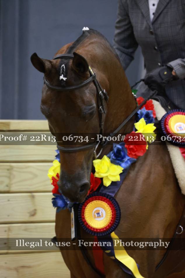 Proof 22R13_06734