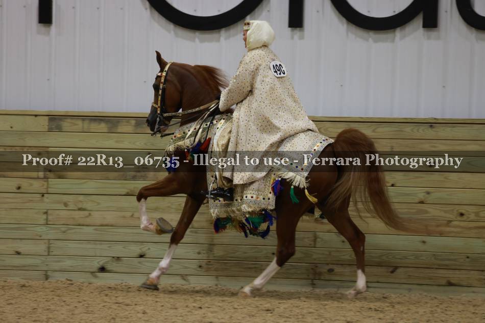 Proof 22R13_06735