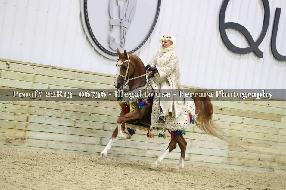 Proof 22R13_06736