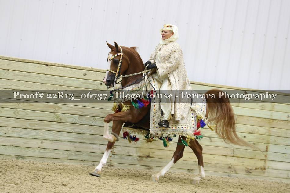 Proof 22R13_06737