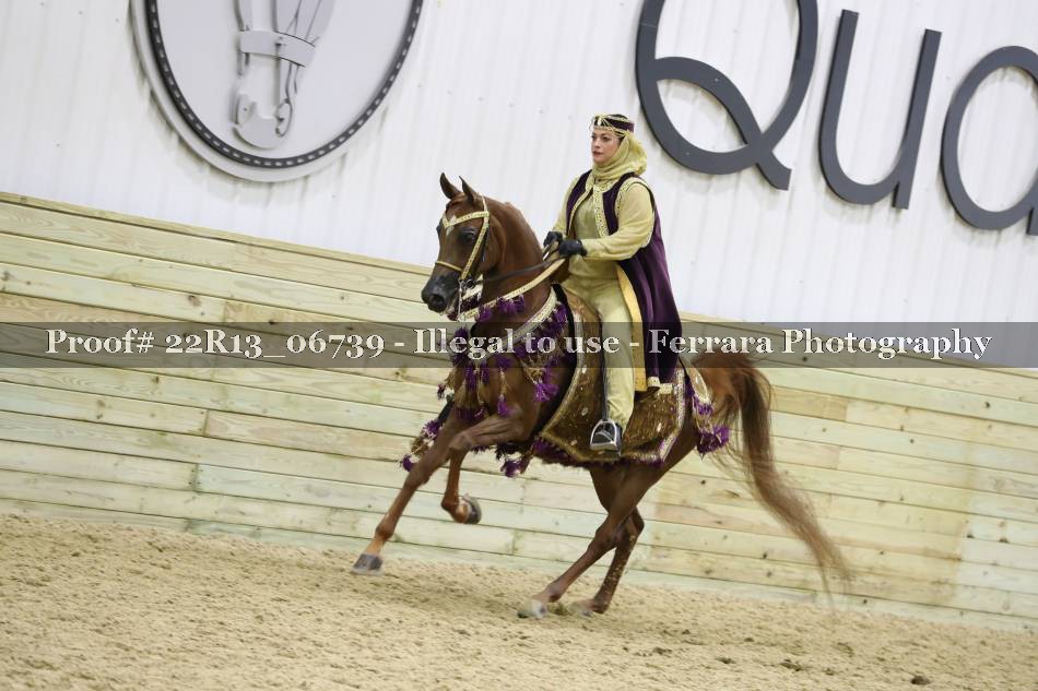 Proof 22R13_06739