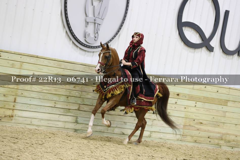 Proof 22R13_06741