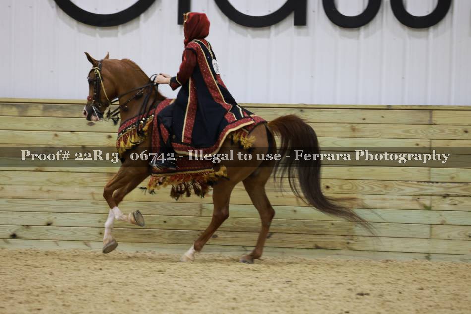 Proof 22R13_06742