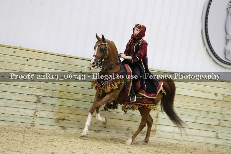 Proof 22R13_06743