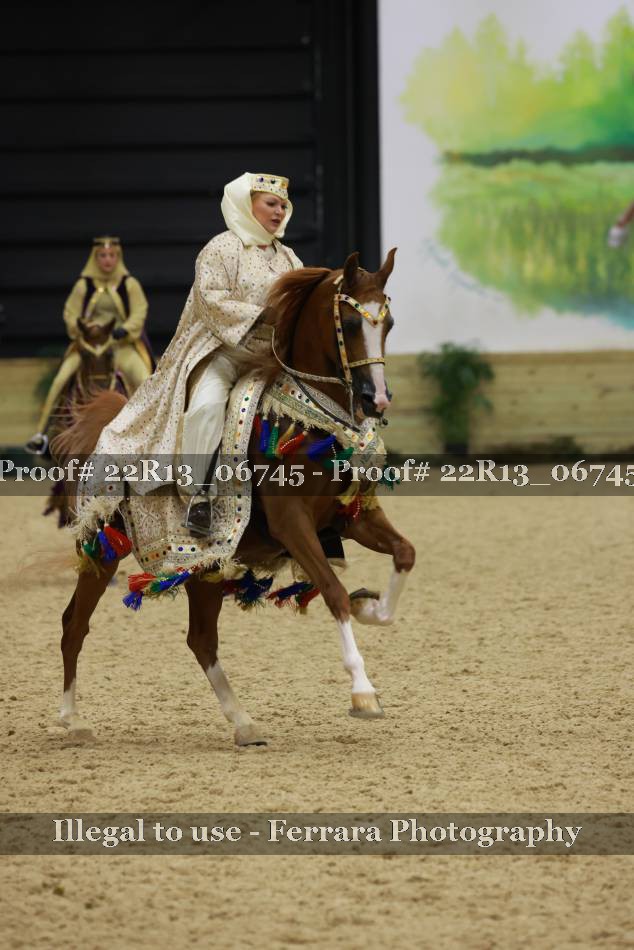 Proof 22R13_06745
