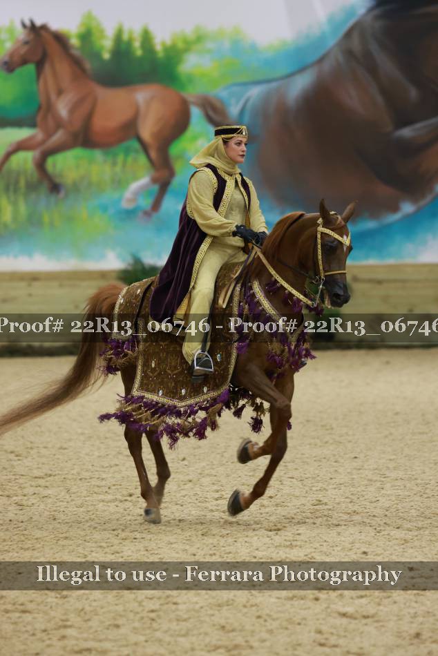 Proof 22R13_06746