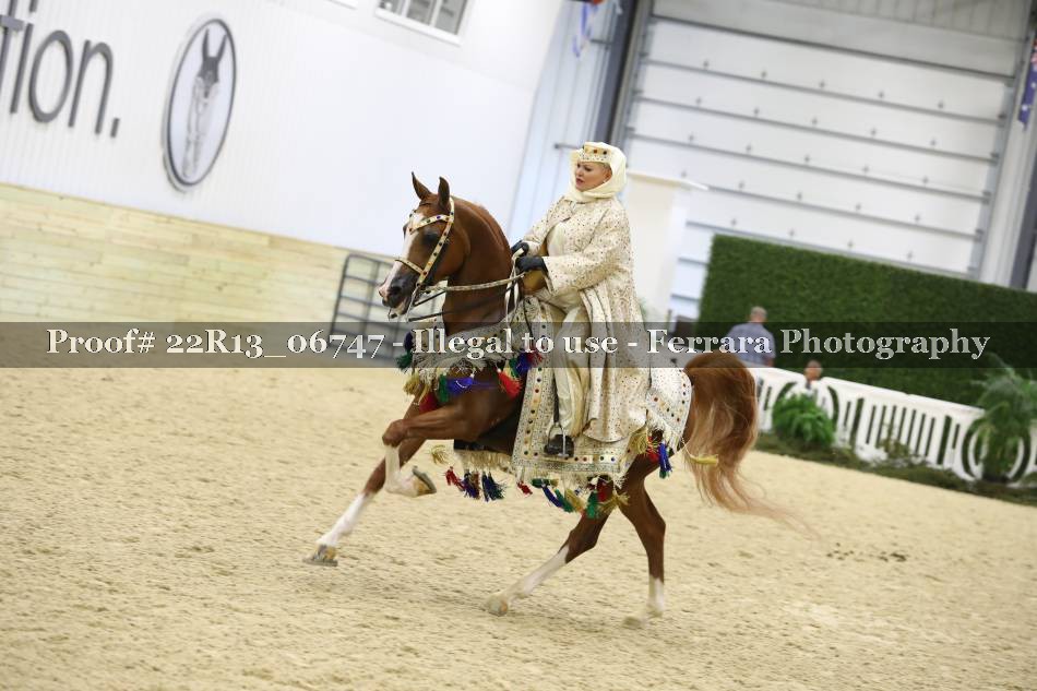 Proof 22R13_06747