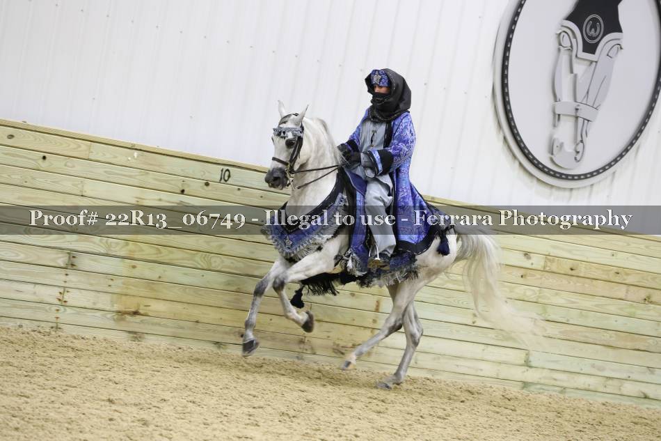 Proof 22R13_06749