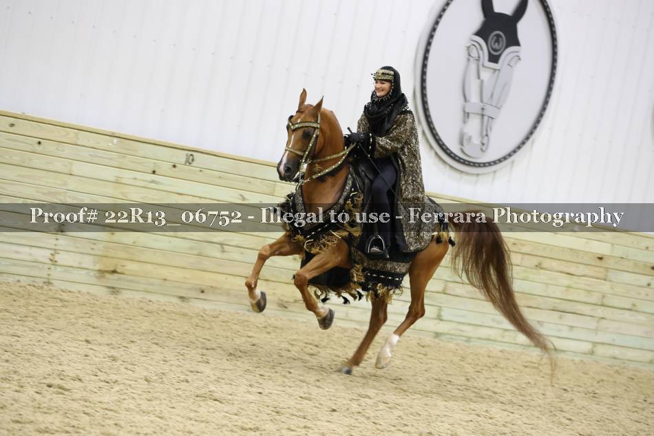 Proof 22R13_06752