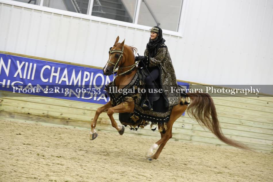 Proof 22R13_06753