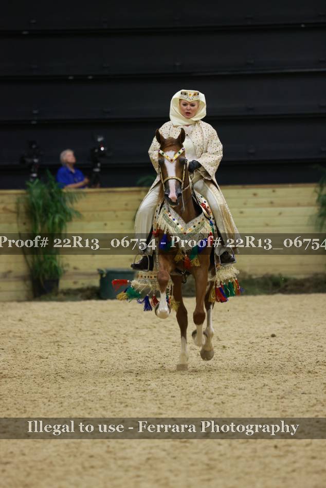 Proof 22R13_06754