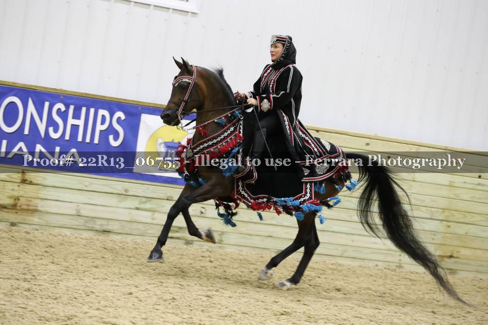 Proof 22R13_06755