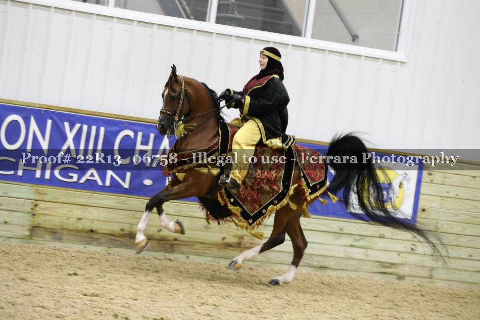 Proof 22R13_06758