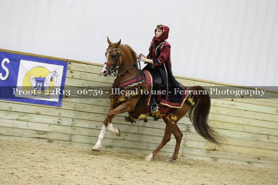 Proof 22R13_06759