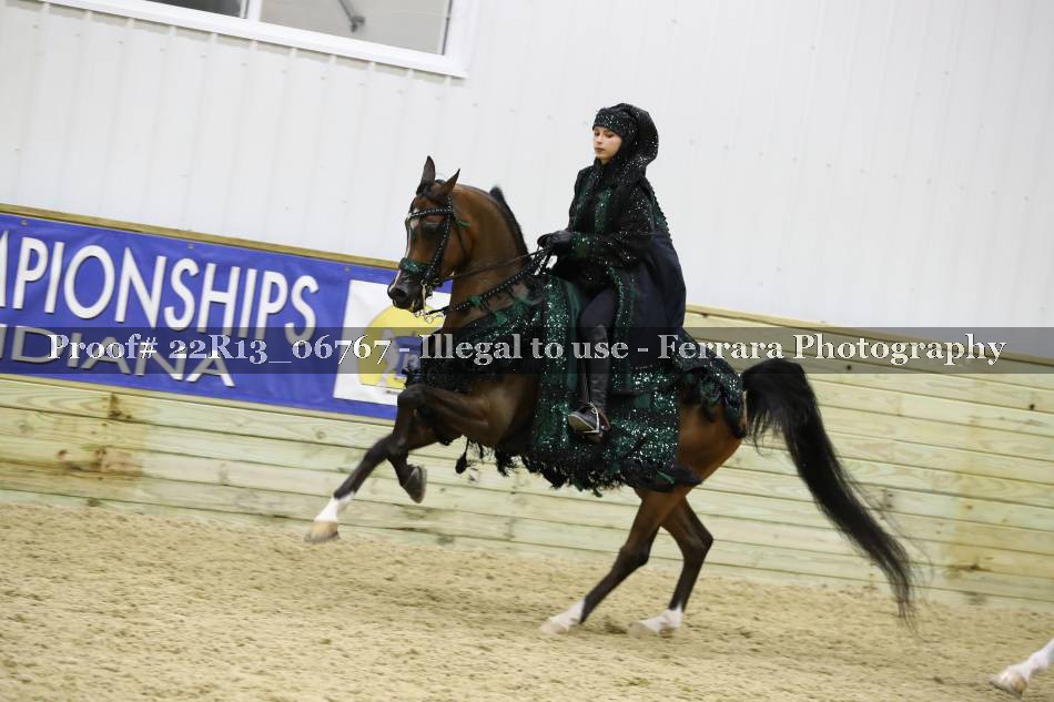 Proof 22R13_06767