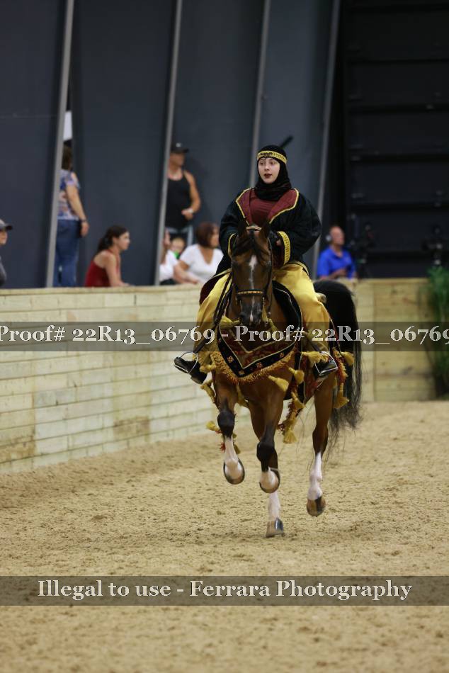 Proof 22R13_06769