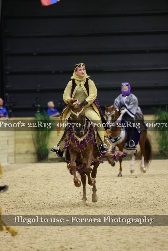 Proof 22R13_06770