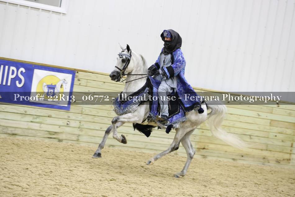 Proof 22R13_06772
